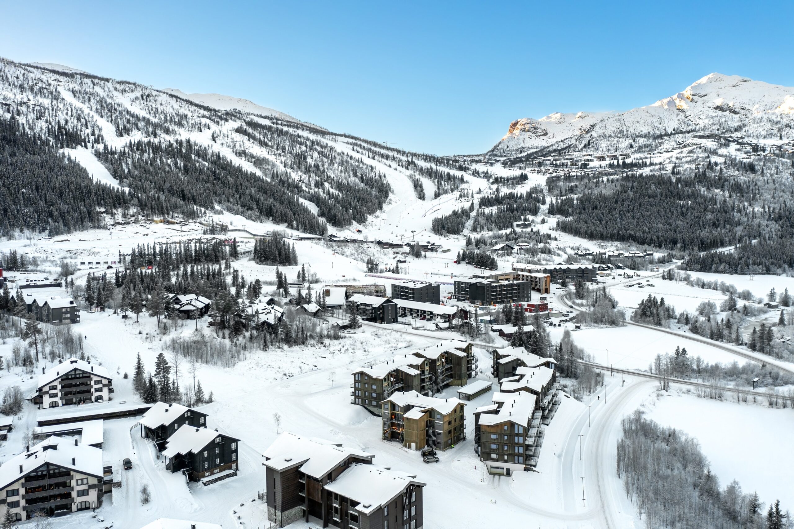 Fjellnest