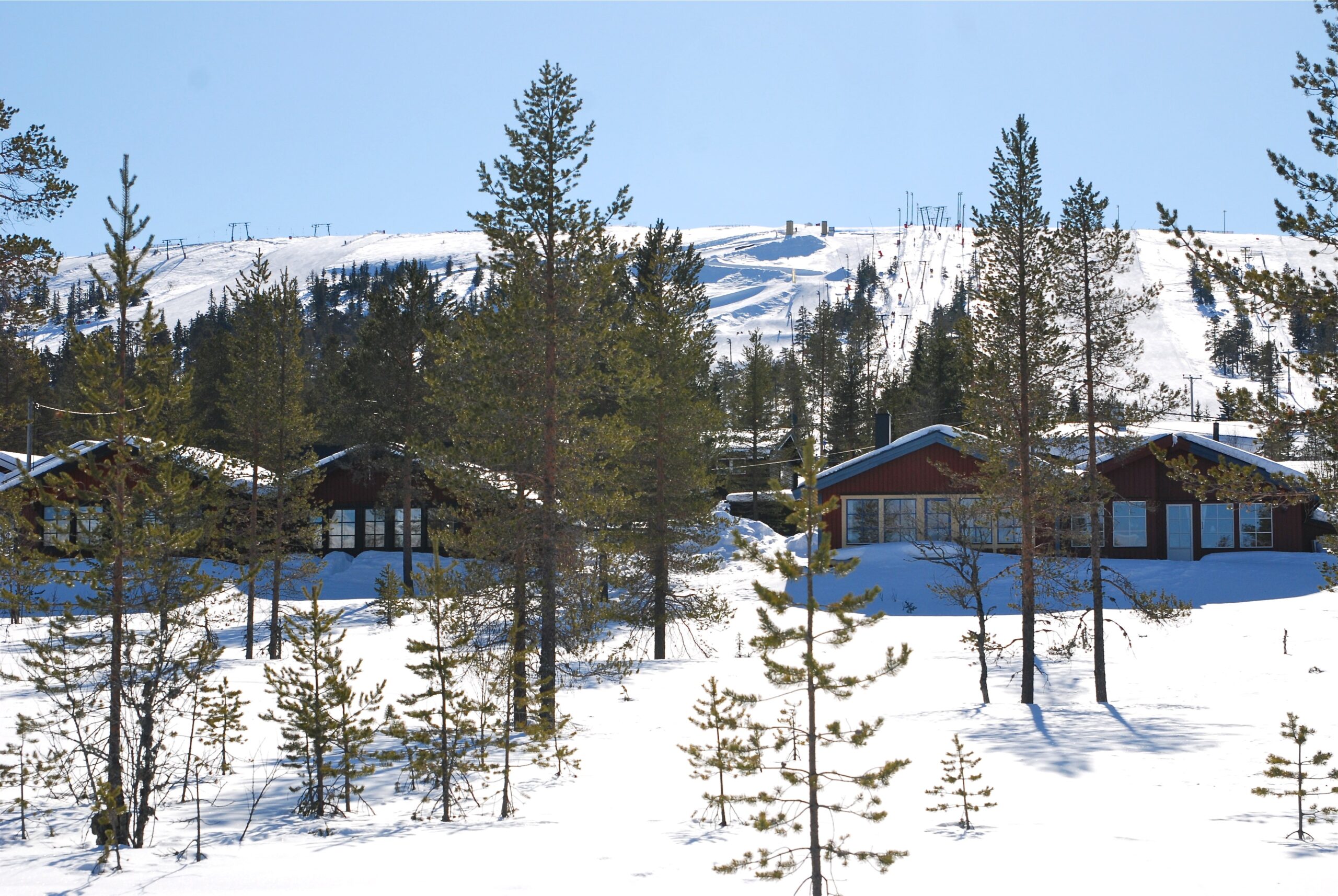 Kalvåsen