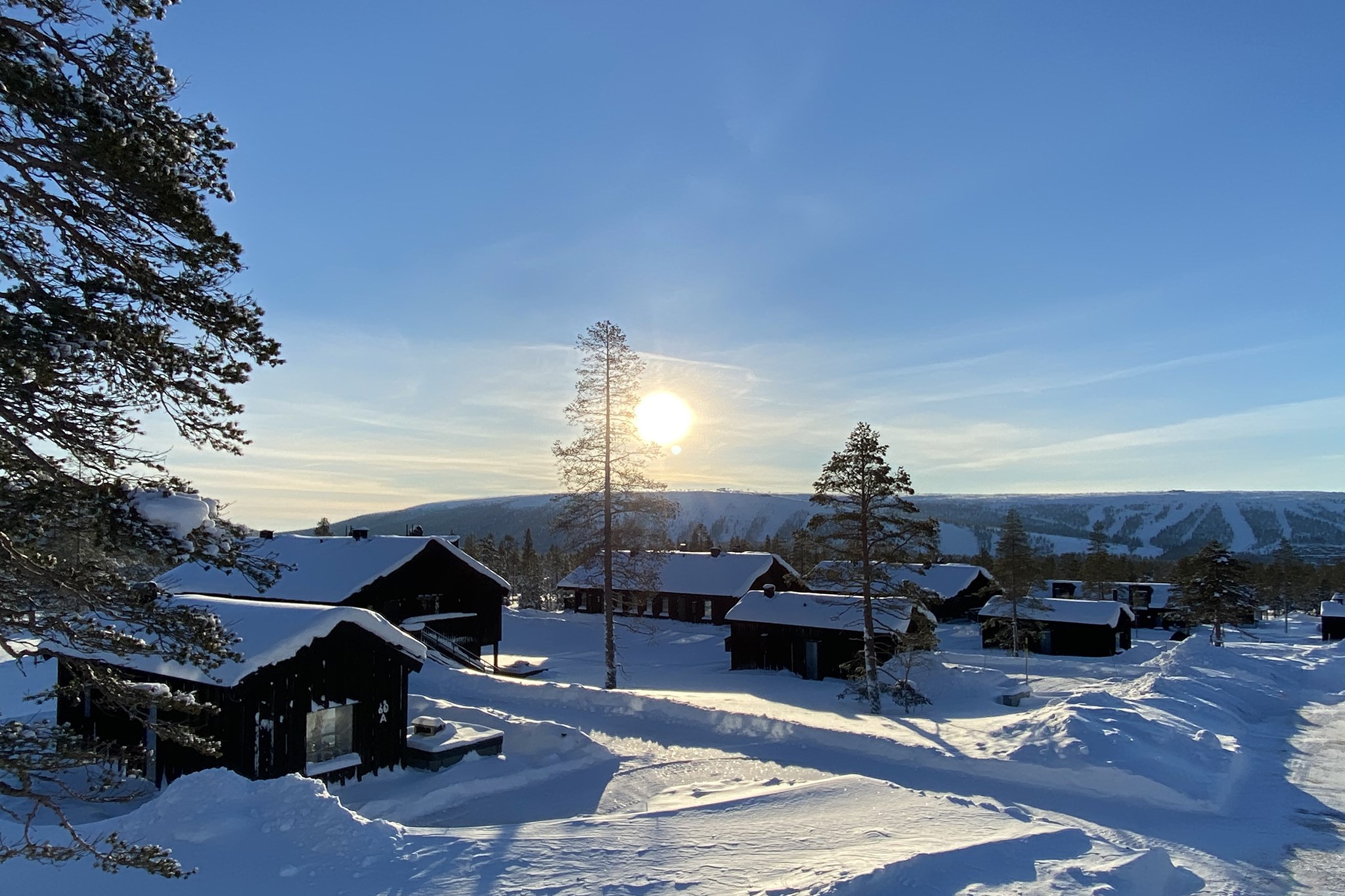 Hills Orrliden