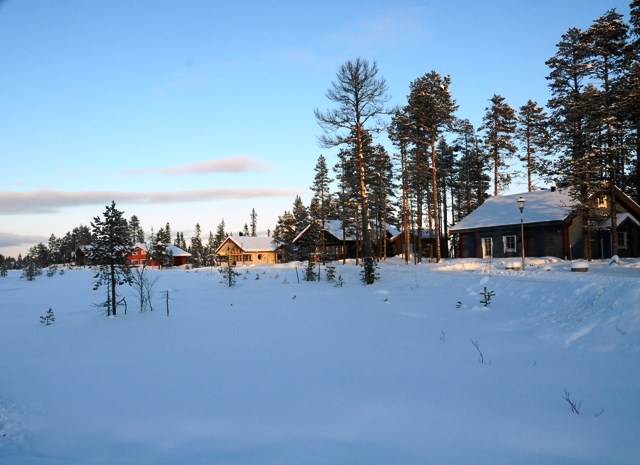 Damkölen