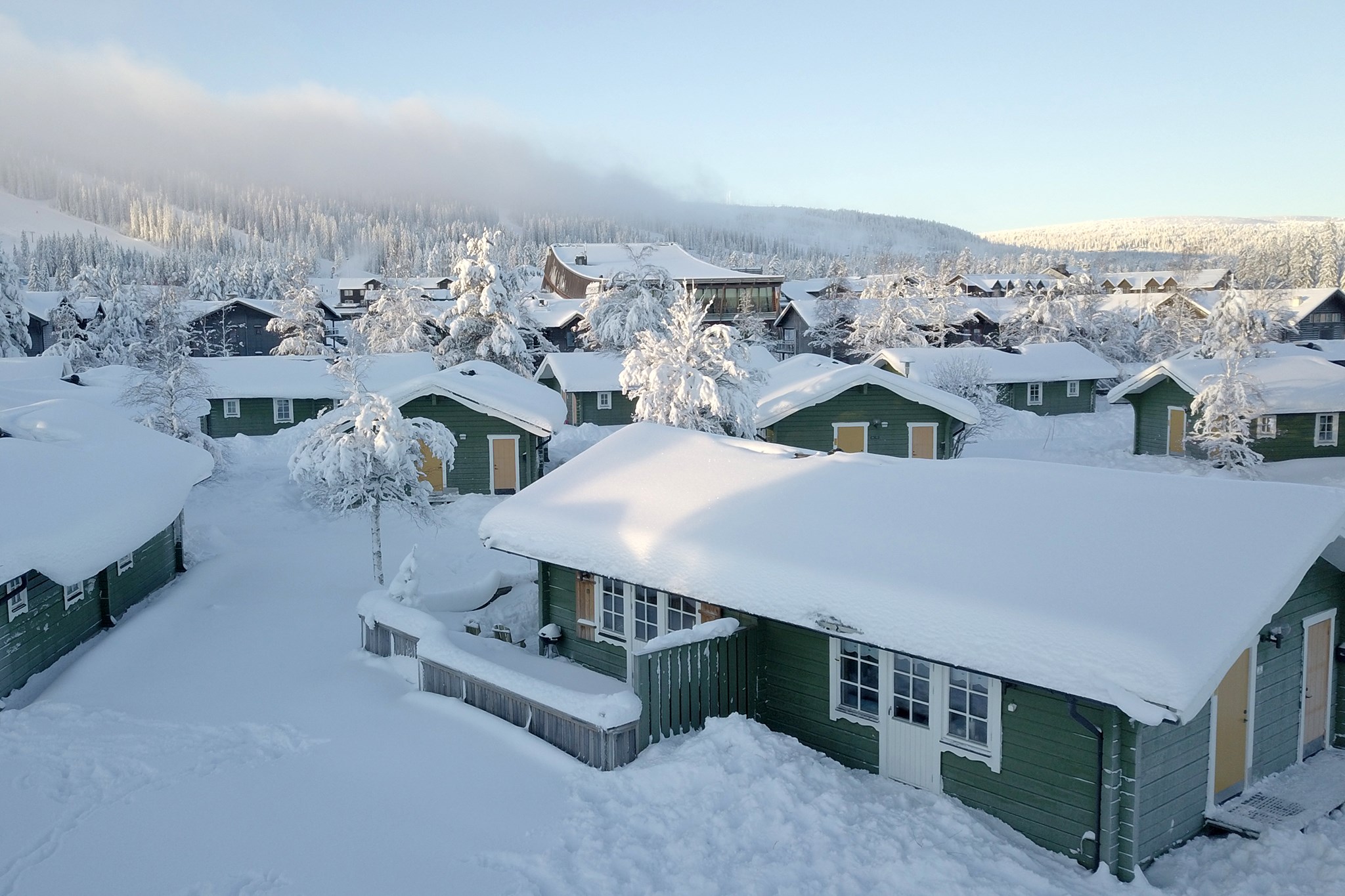 Green Village