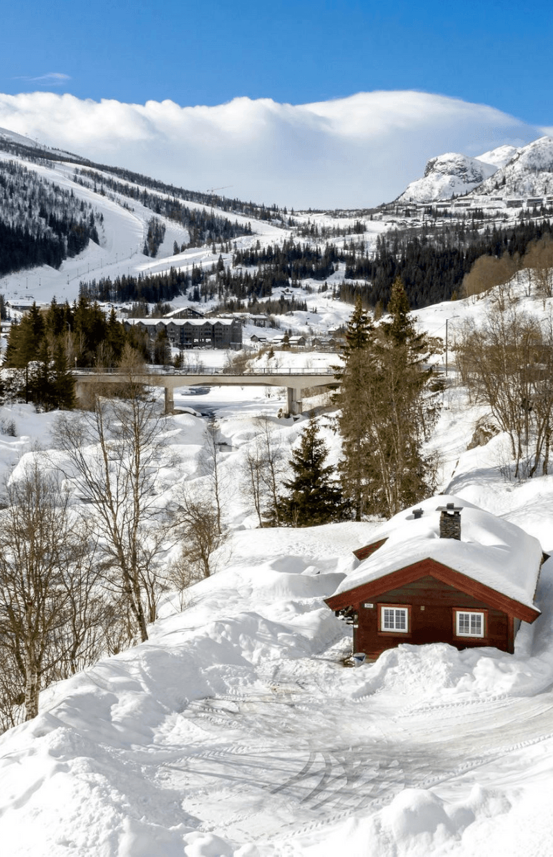 Hemsedal Ski Centre stugor