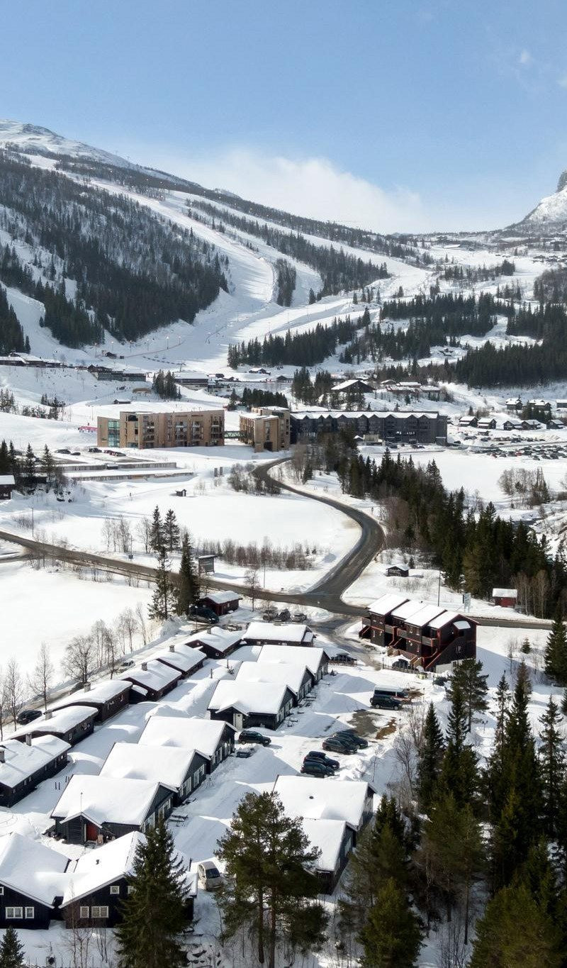 Lägenheter Hemsedal Ski Centre