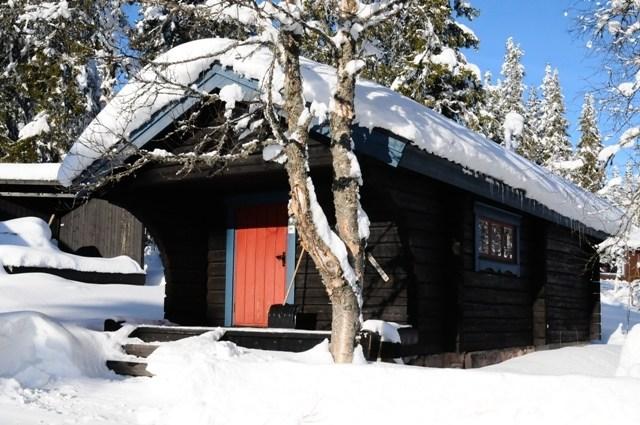 Högfjället - HJORTRONVÄGEN 33 L - 1 soveværelser, 2 senge, 22m2 – Gammelgårdsområdet