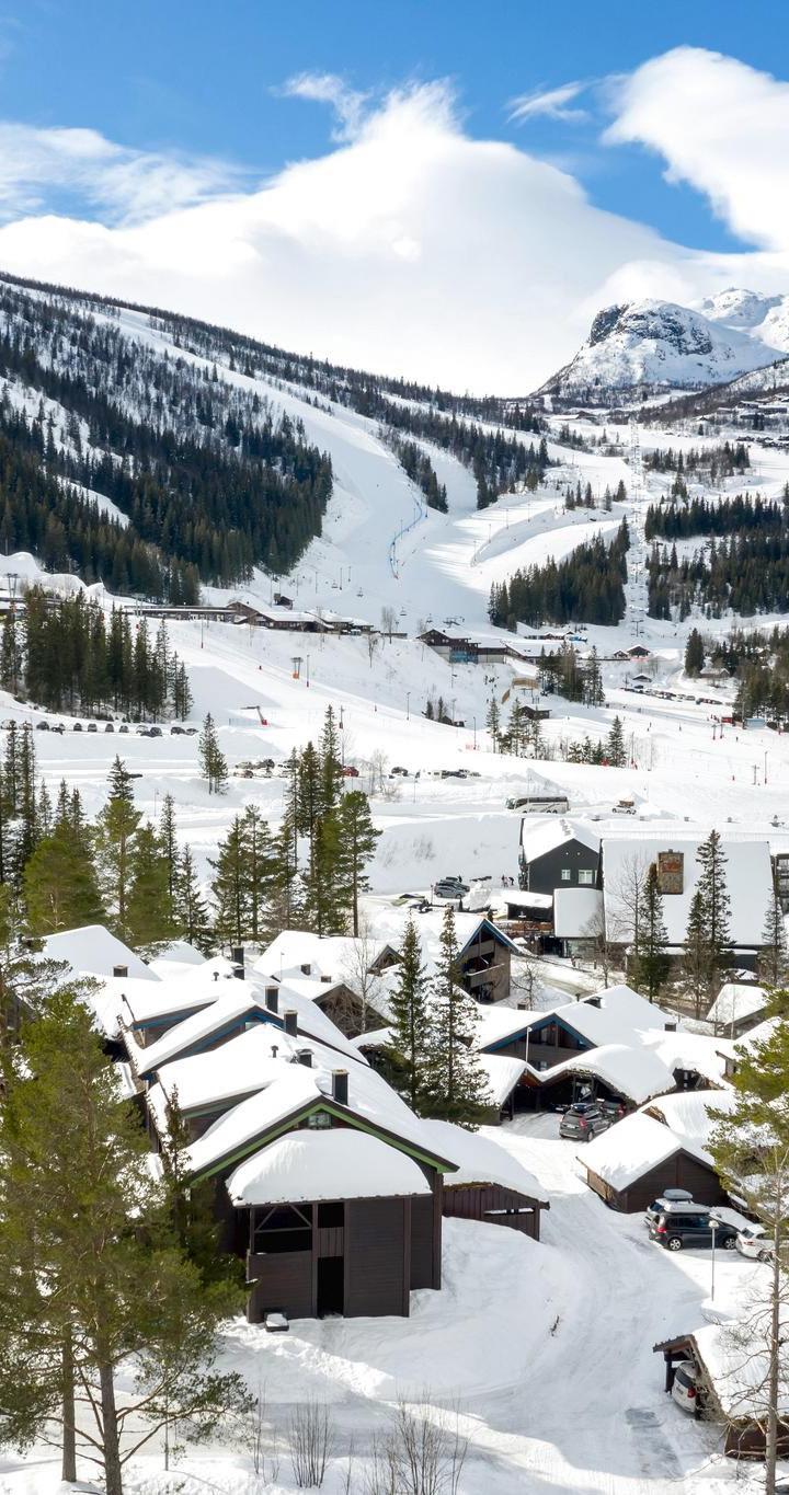 Hemsedal Skisenter - ALPIN APARTMENT 11 - 1 soveværelser, 4 senge, 38m2 – Alpin Apartment