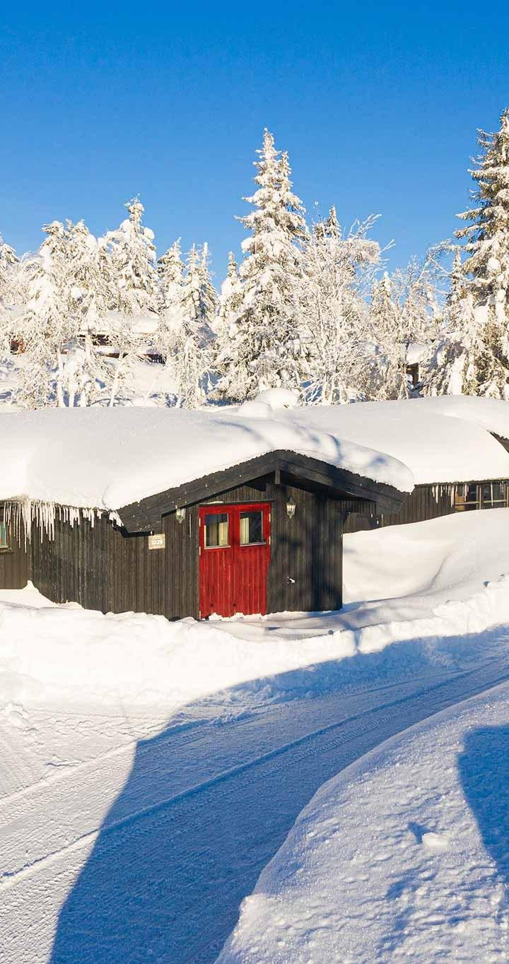 Fageråsen Hytteområde - FAGERÅSEN HYTTEOMRÅDE 1029 - 6 soveværelser, 12 senge, 130m2 – Fageråsen Hytteområde