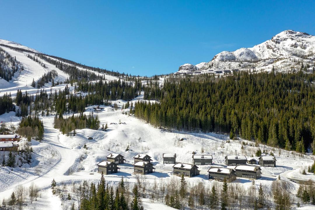 Hemsedal Skisenter - RÅDYRLIA 10 - 4 soveværelser, 9 senge, 130m2 – Rådyrlia Hyttegrend