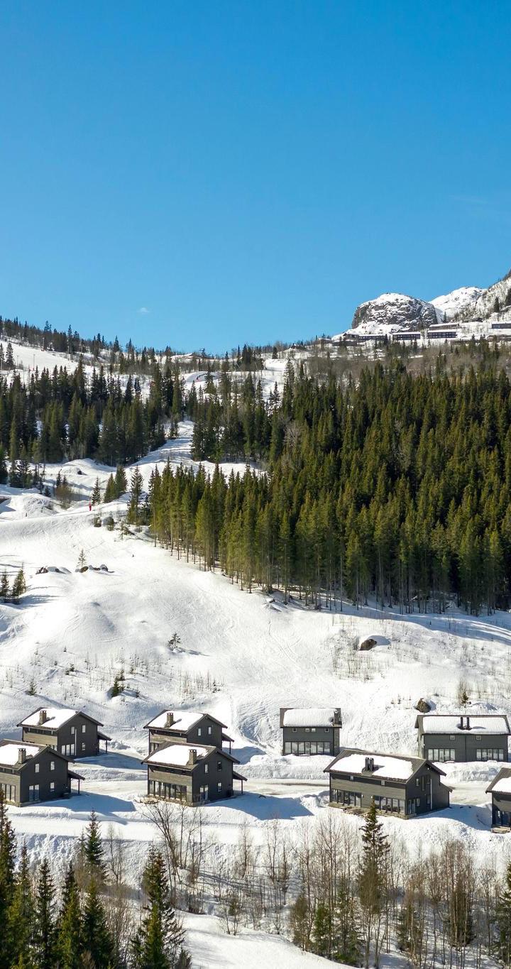 Hemsedal Skisenter - RÅDYRLIA 13 MED SEN UTSJEKK KL 13.00 - 4 soveværelser, 9 senge, 130m2 – Rådyrlia Hyttegrend
