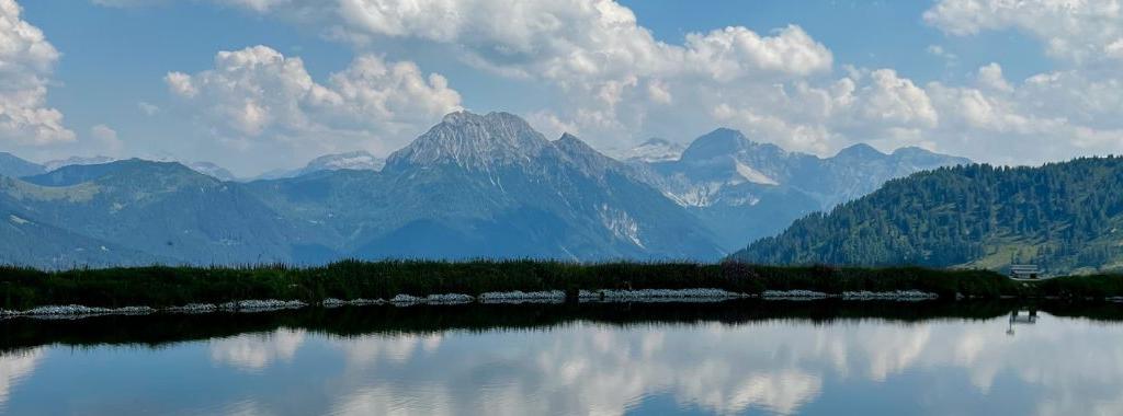 Utsikt från Grafenbergsjön på sommaren