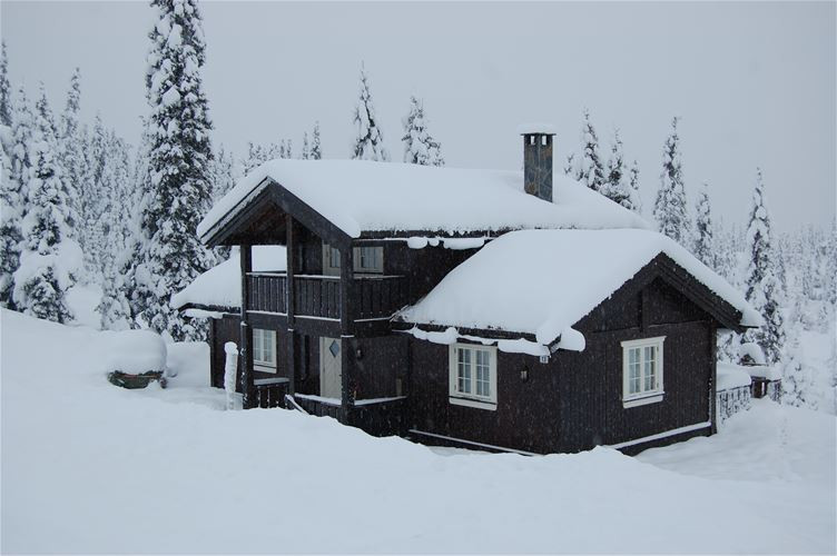 Bjønnliskardet 13