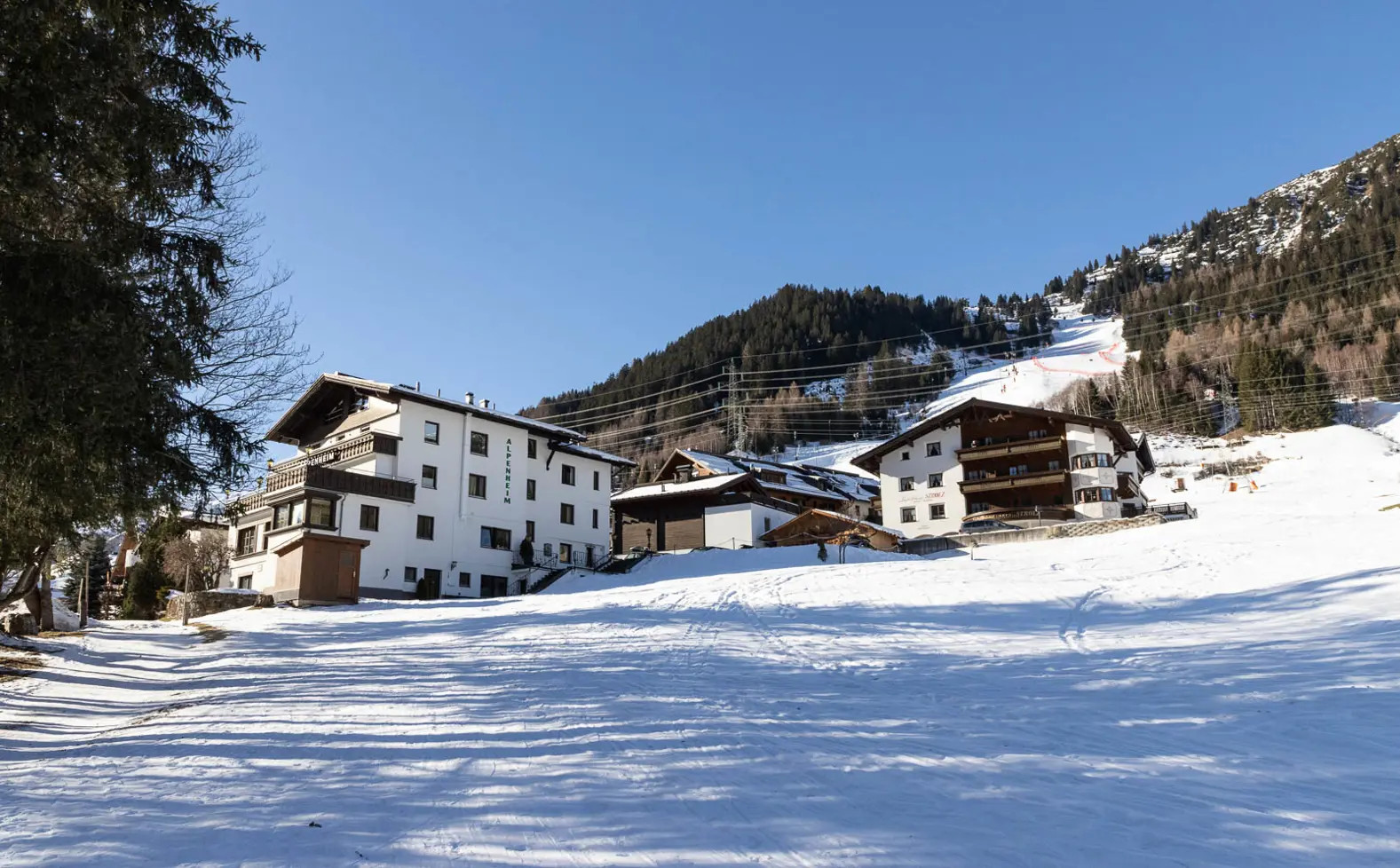 Alpenheim pensionat