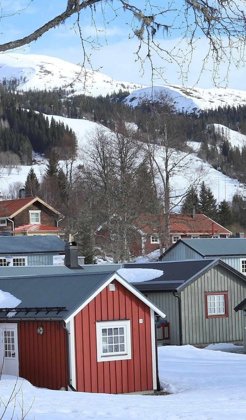 Forsa Mountain Village