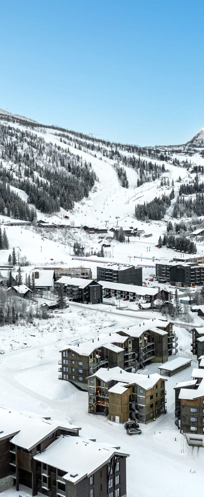 Fjellnest