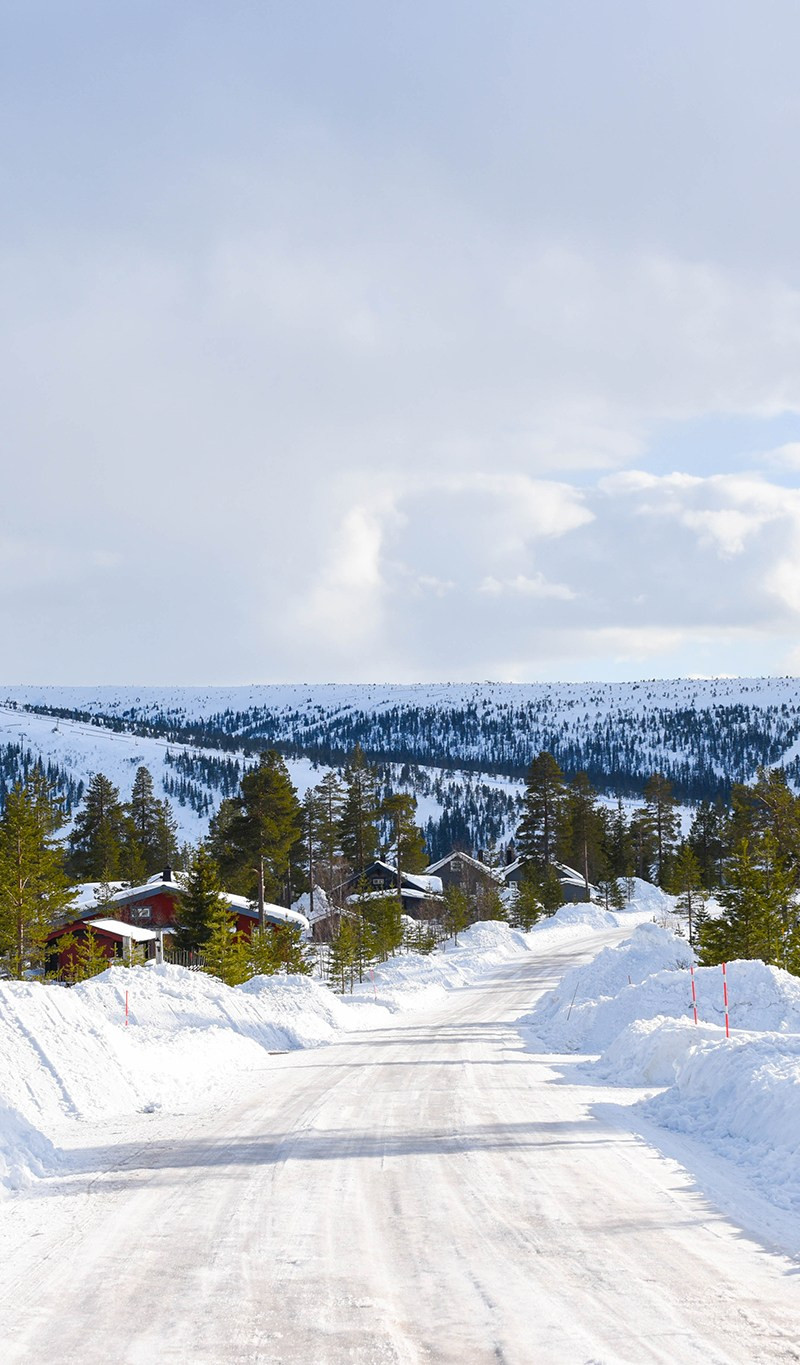 Bakre brännare