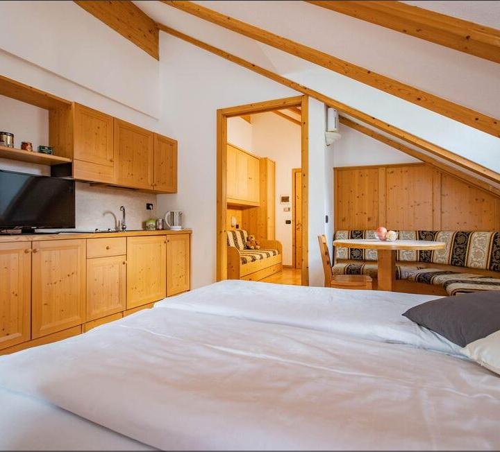 Studiolejlighed 30 m2 max 3 pers. – Garni Aparthotel Princess (Penia)