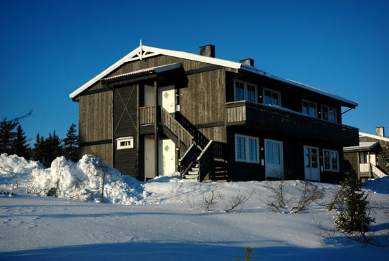 Fjällripa